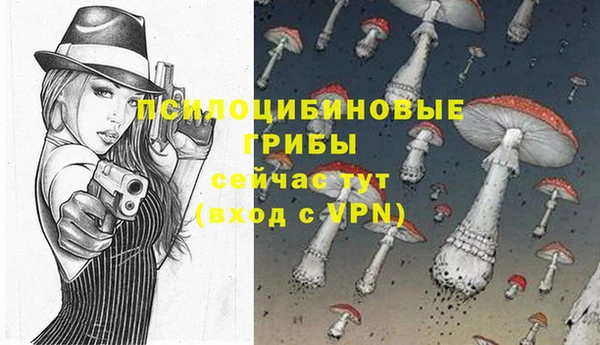 ешки Алзамай