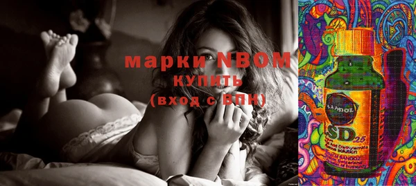 молекула духа Алексеевка