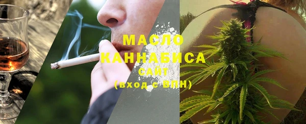 молекула духа Алексеевка