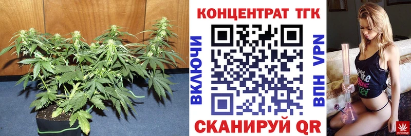 ТГК гашишное масло  kraken зеркало  Санкт-Петербург 