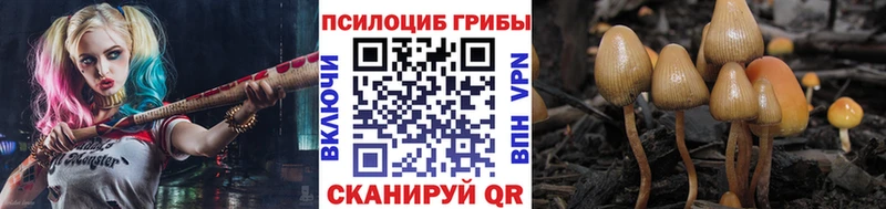 Псилоцибиновые грибы мухоморы  Санкт-Петербург 