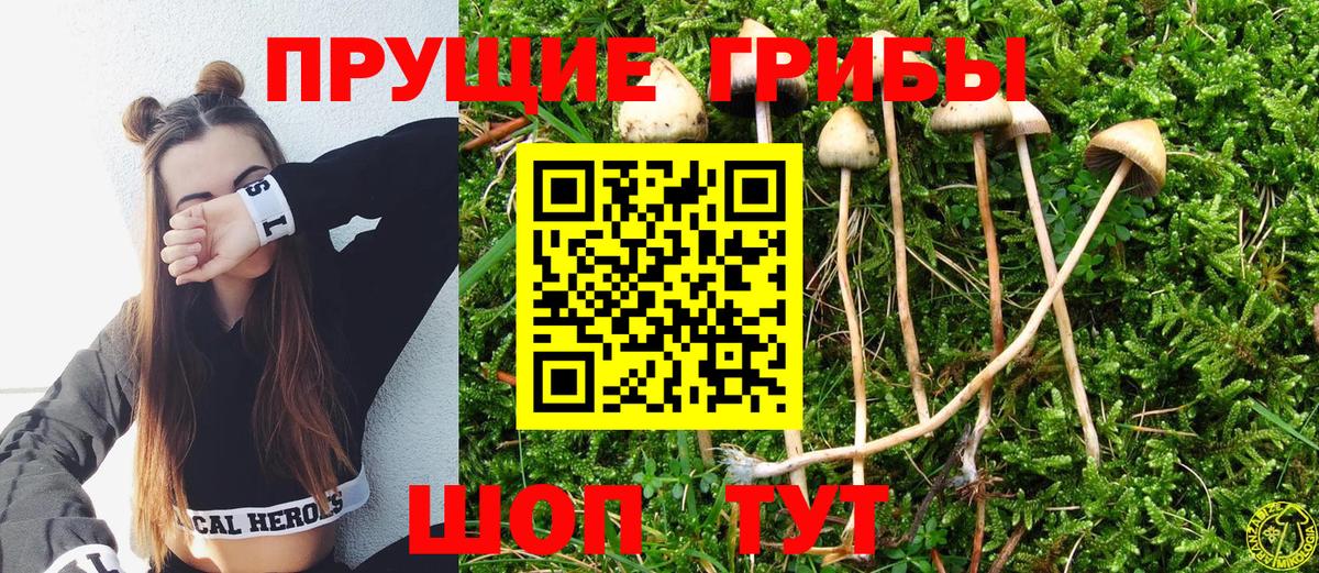 Галлюциногенные грибы GOLDEN TEACHER Санкт-Петербург