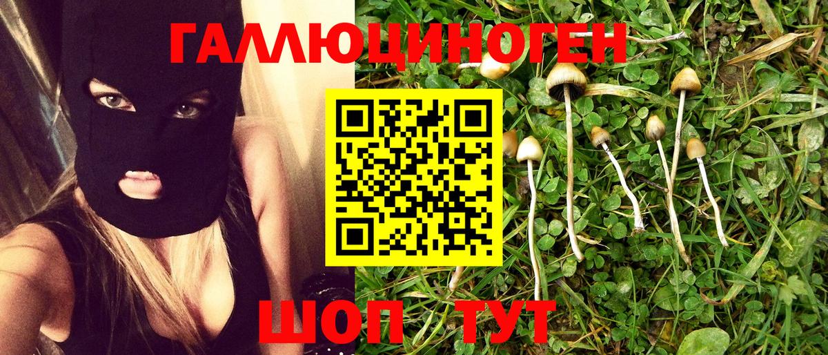 Галлюциногенные грибы Psilocybine cubensis  Галлюциногенные грибы прущие грибы  Санкт-Петербург  Вход с VPN 